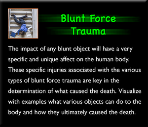 Deaths by Blunt Force Trauma Set