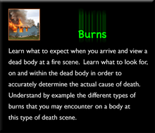 Load image into Gallery viewer, Deaths by Burns and Electrocution Set