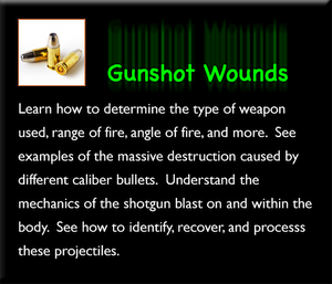 Deaths by Gunshot Wounds Set