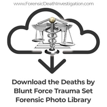 Load image into Gallery viewer, Deaths by Blunt Force Trauma Set
