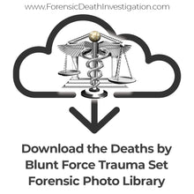 Load image into Gallery viewer, Deaths by Blunt Force Trauma Set