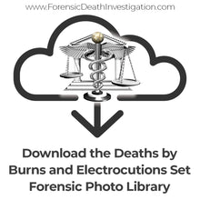 Load image into Gallery viewer, Deaths by Burns and Electrocution Set
