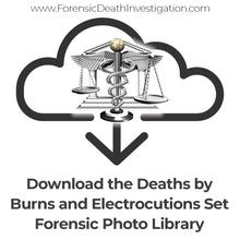 Load image into Gallery viewer, Deaths by Burns and Electrocution Set