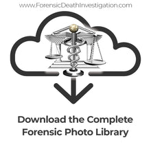 Load image into Gallery viewer, Complete Forensic Photo Library