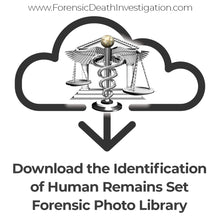 Load image into Gallery viewer, Identification of Human Remains Set
