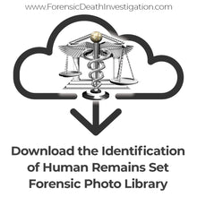 Load image into Gallery viewer, Identification of Human Remains Set