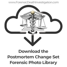 Load image into Gallery viewer, Postmortem Change Set