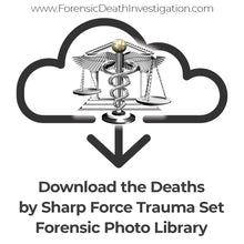 Load image into Gallery viewer, Deaths by Sharp Force Trauma Set