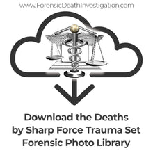 Load image into Gallery viewer, Deaths by Sharp Force Trauma Set
